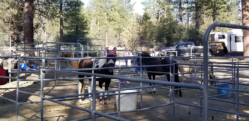 HEART BAR EQUESTRIAN（加利福尼亚州）