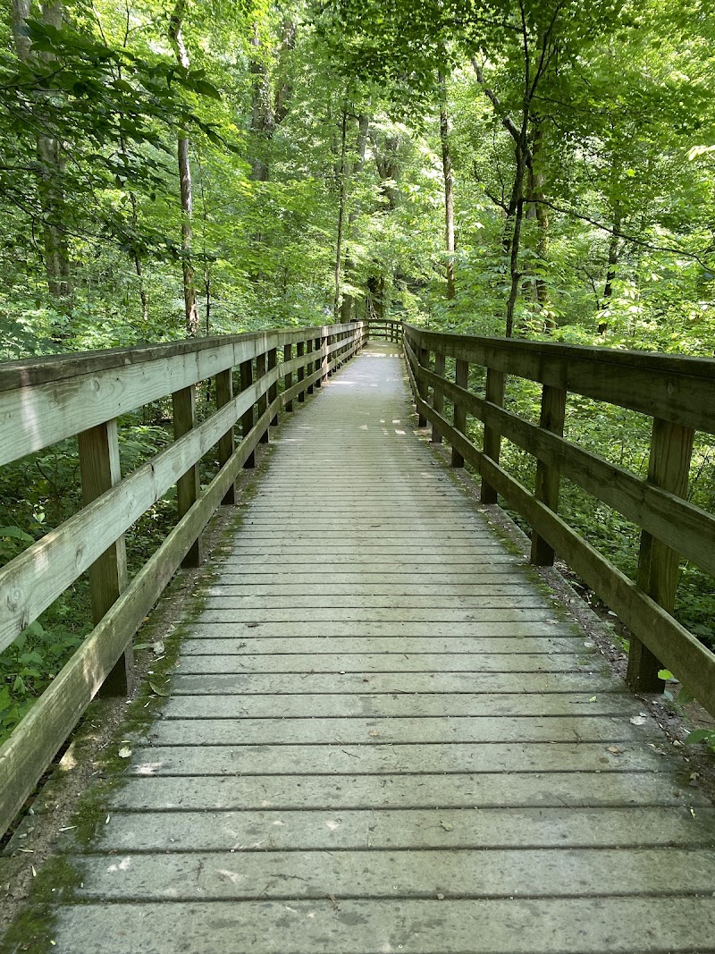 Mammoth Cave Backcountry Camping（肯塔基州）