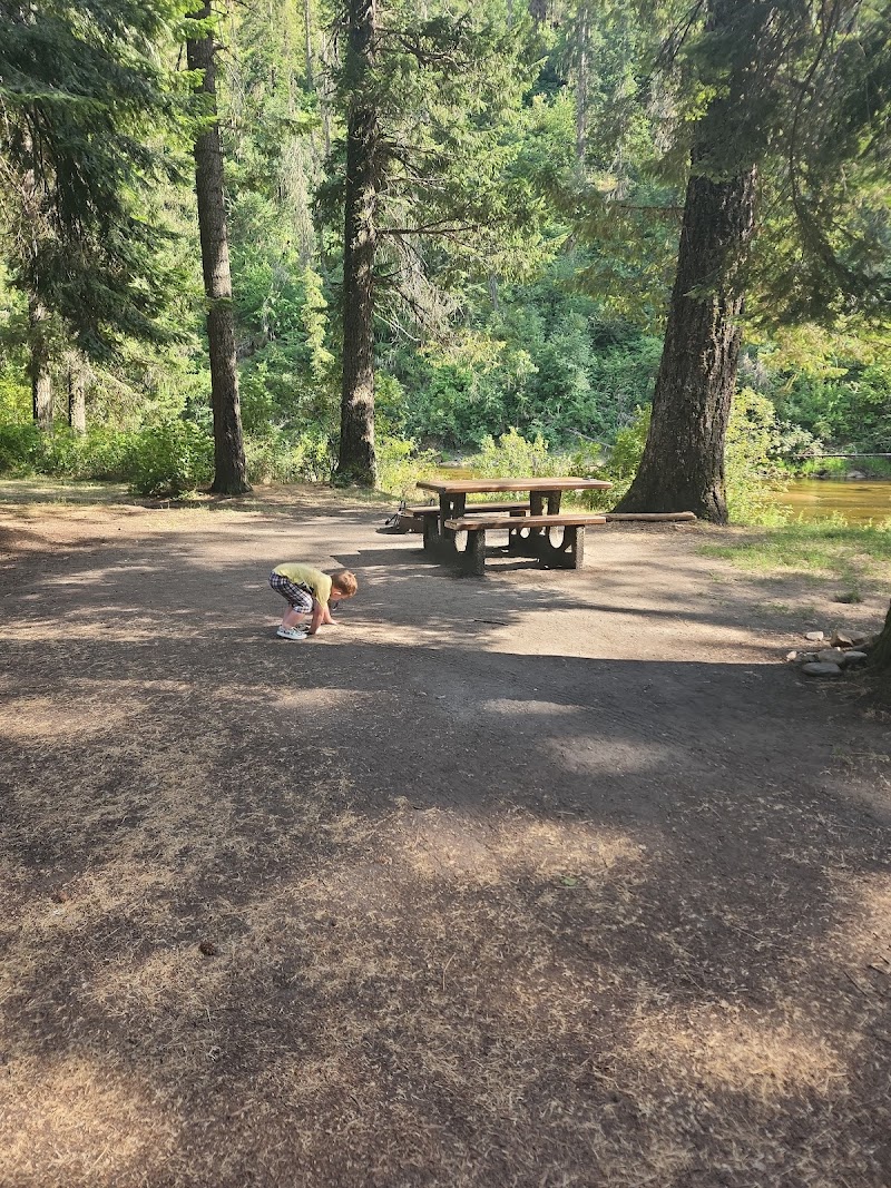 South Fork Group Site 5 - Nez Perce NF (ID)（爱达荷州）