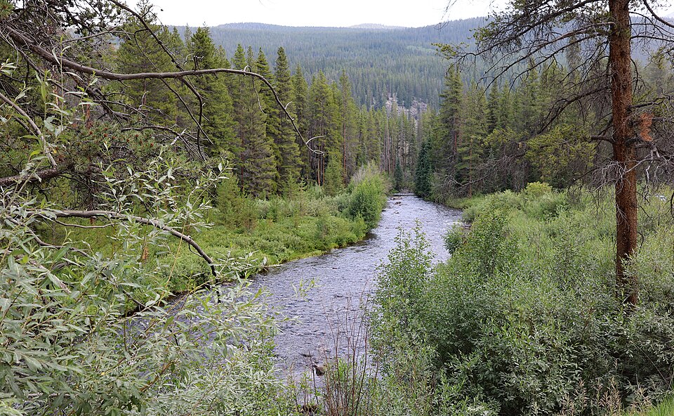 Gold Park Campground
