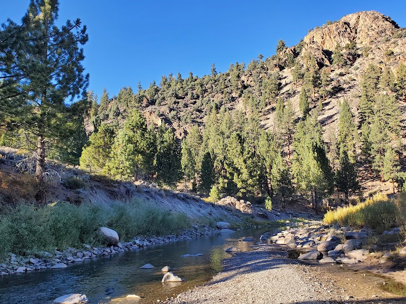 Sonora Bridge