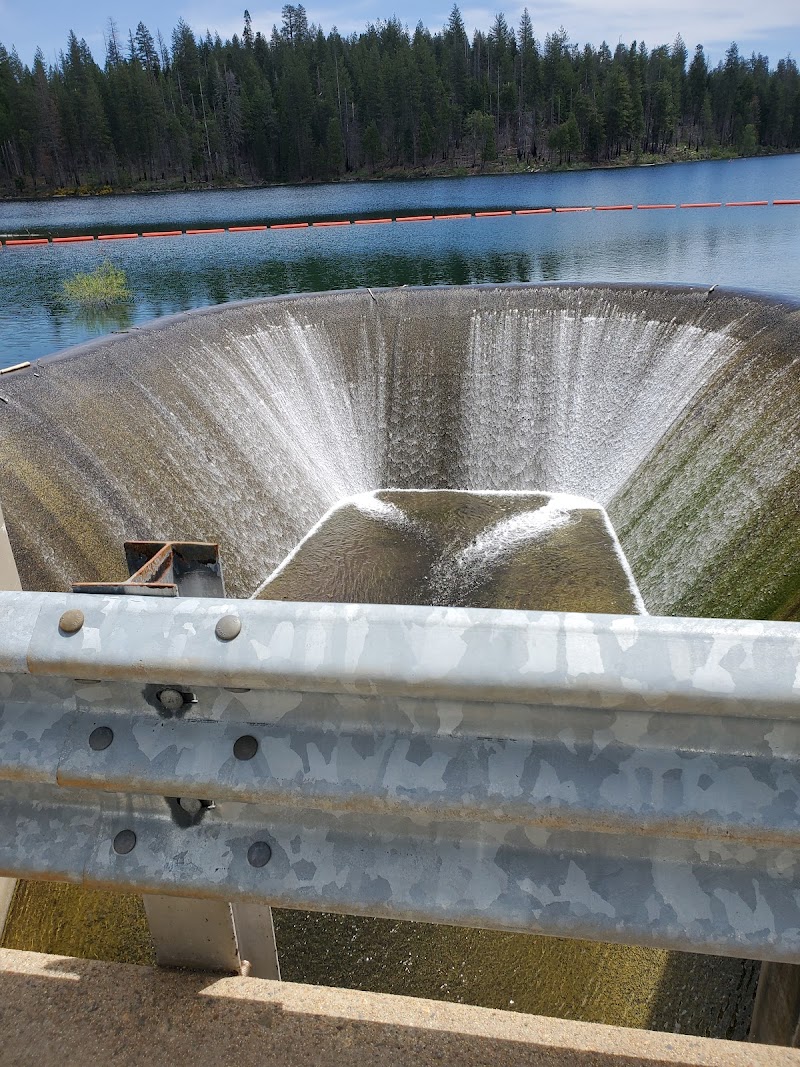 STUMPY MEADOWS（加利福尼亚州）