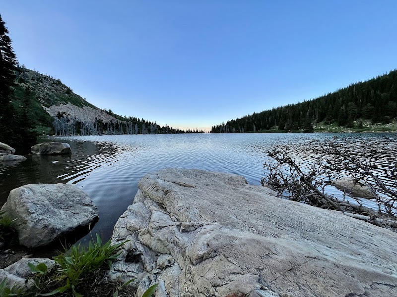Lake Cleveland Campground - West Side