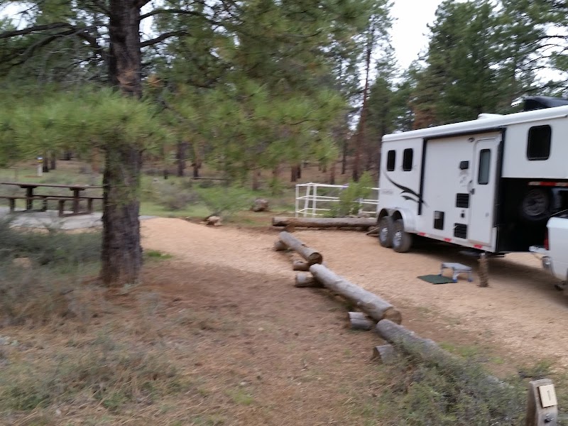 Coyote Hollow