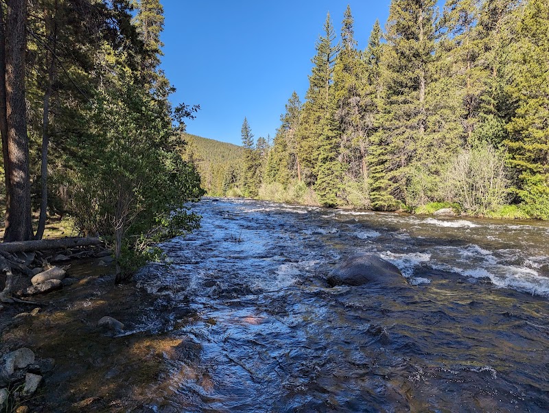 Lodgepole (Taylor River Canyon near Gunnison, COLORADO)（科罗拉多州）