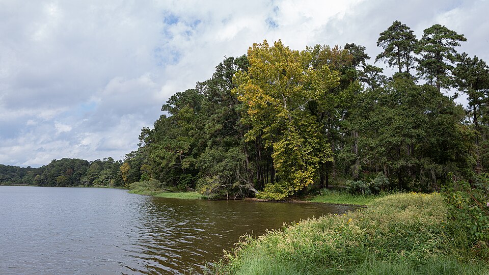 DOUBLE LAKE RECREATION AREA