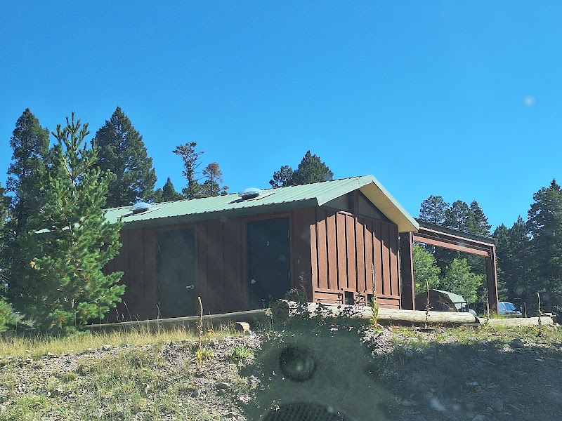 Silver (NM)
