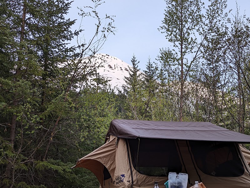 PTARMIGAN CREEK（阿拉斯加州）