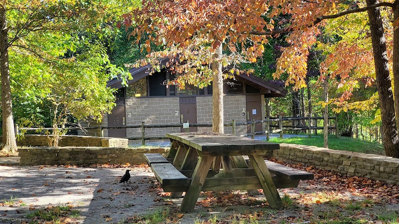 CHILHOWEE GROUP CAMP（田纳西州）