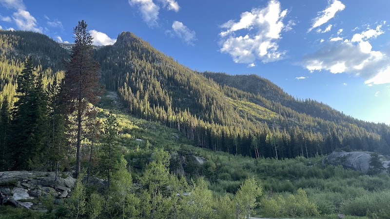 Lincoln Creek Dispersed Campground