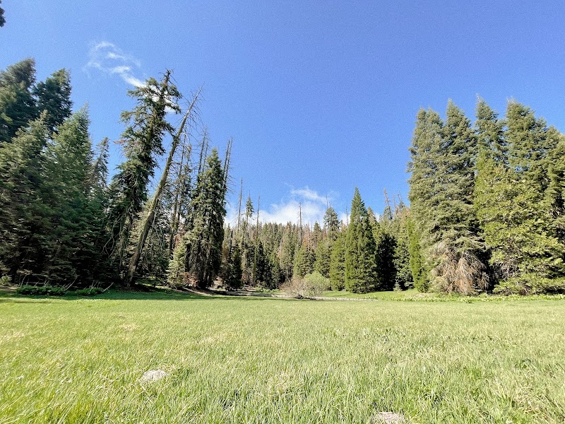 HOLEY MEADOW（加利福尼亚州）