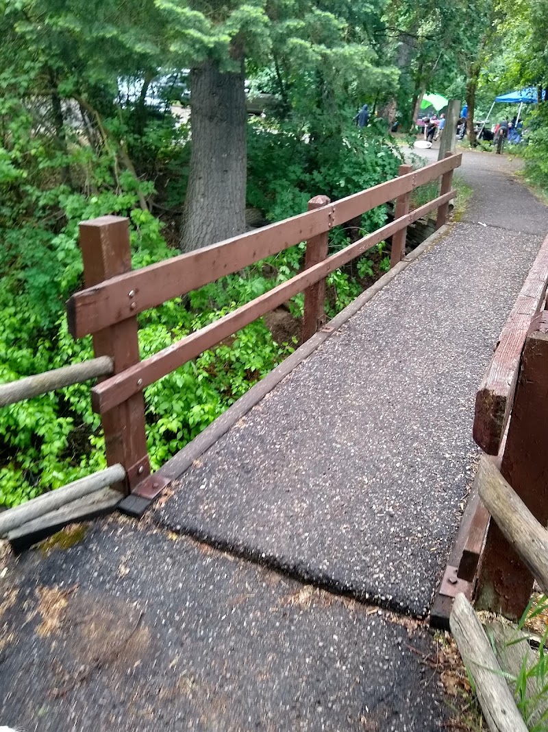 Balsam (国家森林)