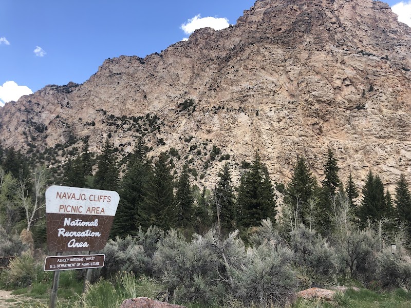 NAVAJO CLIFFS（犹他州）