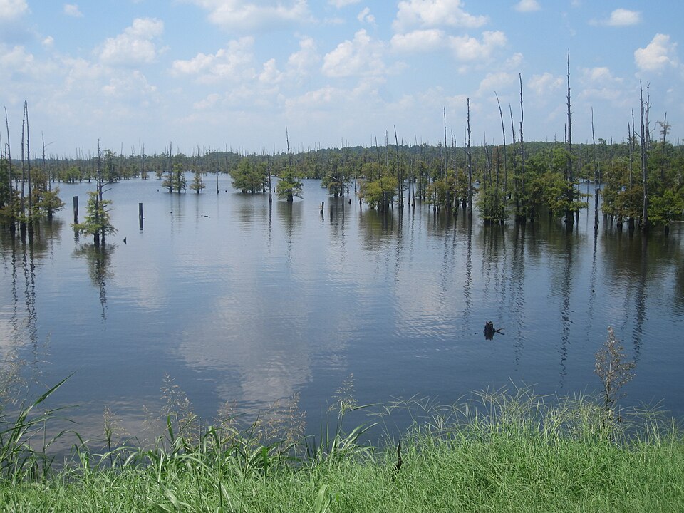 CLEAR LAKE (OR)（俄勒冈州）