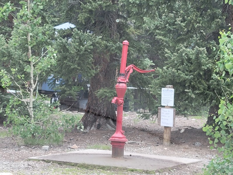 Lodgepole (Jefferson Lake, Fairplay Colorado)（科罗拉多州）
