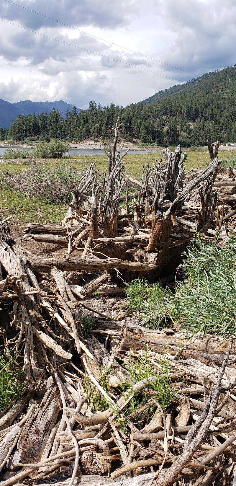 Pine Point (Vallecito Reservoir, CO)（科罗拉多州）