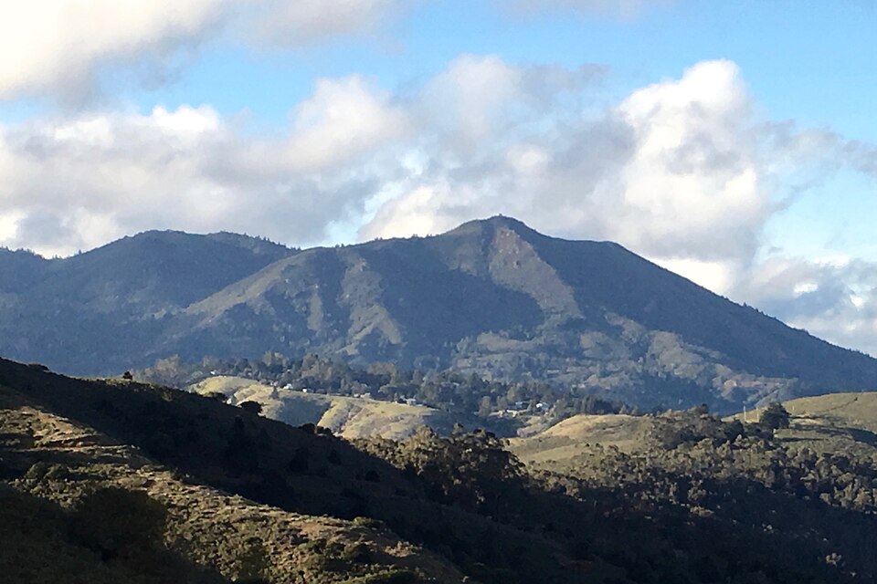 LIVE OAK（加利福尼亚州）