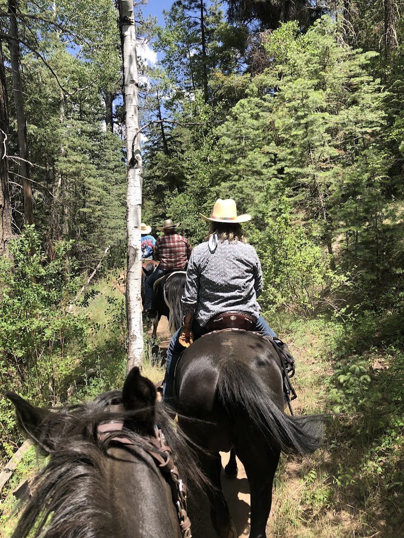 LITTLE ELDEN SPRINGS HORSECAMP（亚利桑那州）