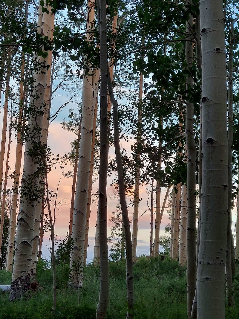 BARKER RECREATION AREA（犹他州）