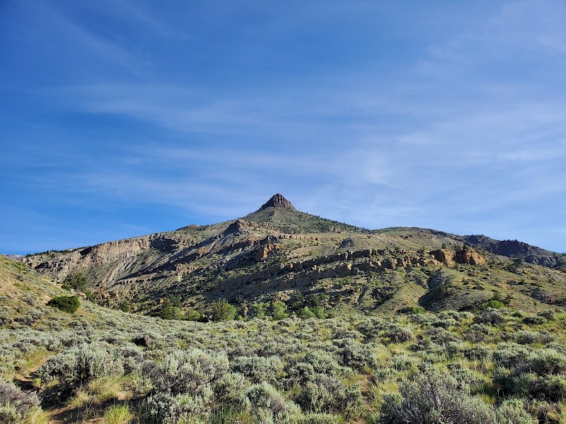 Bobcat-Houlihan Campground