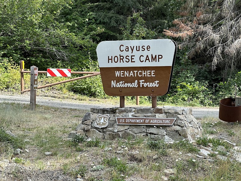 CAYUSE HORSE CAMP（华盛顿州）