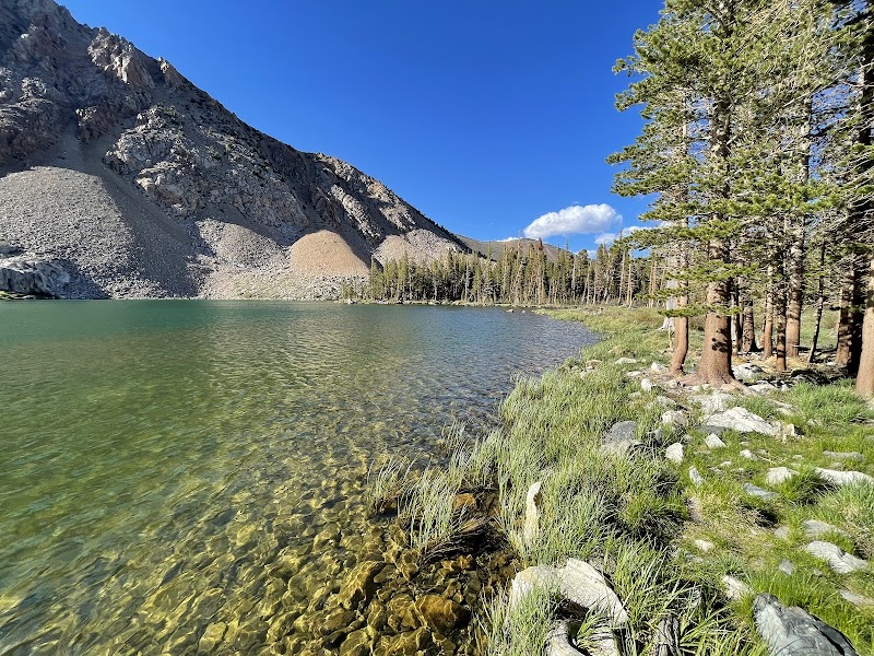 TRUMBULL LAKE（加利福尼亚州）