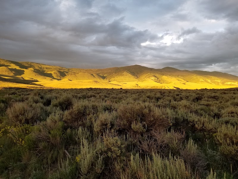 COW CREEK SOUTH（科罗拉多州）
