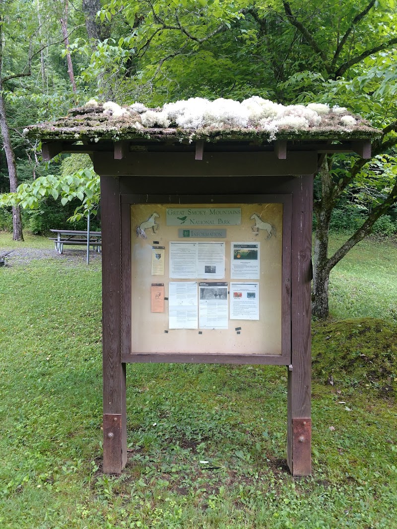 TOW STRING HORSE CAMP（北卡罗来纳州）