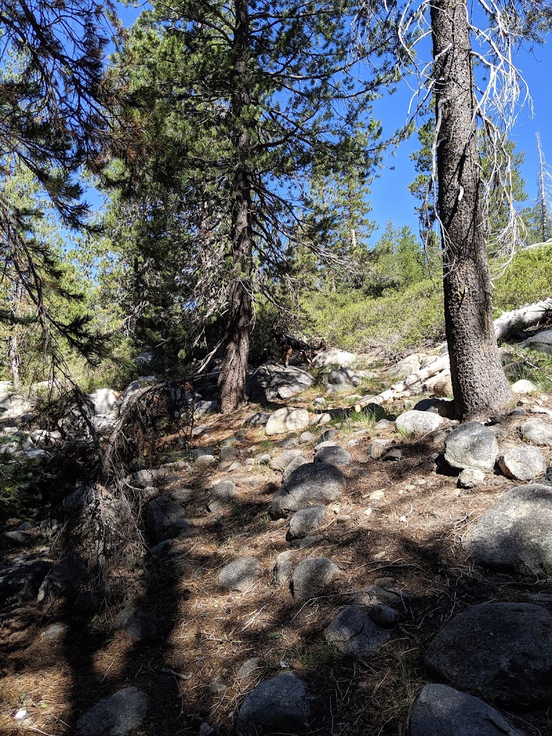 (Lake Alpine) Backpackers