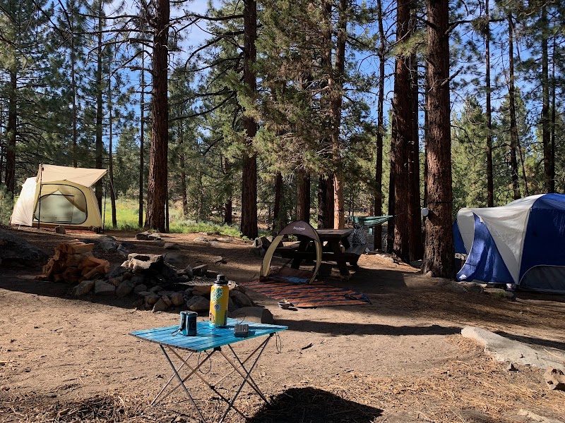 FISH CREEK (CA)（加利福尼亚州）