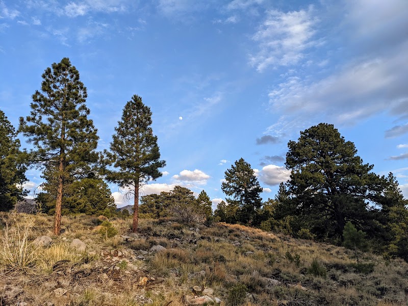 McMillan Spring Campground