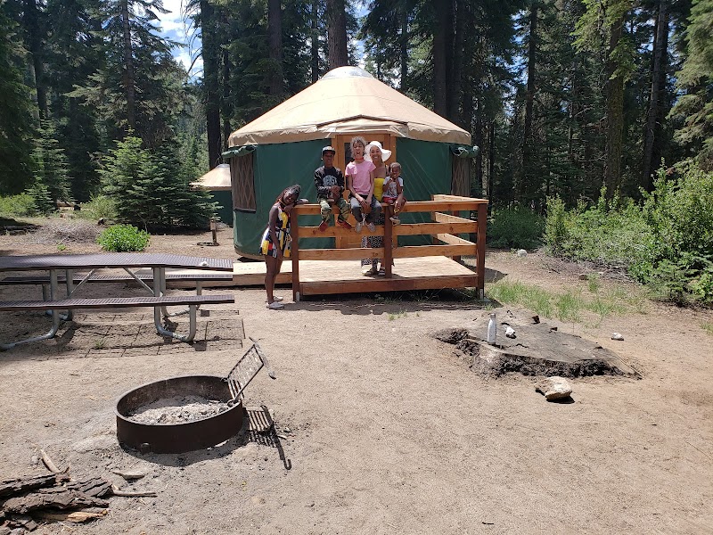 QUAKING ASPEN CABIN（加利福尼亚州）