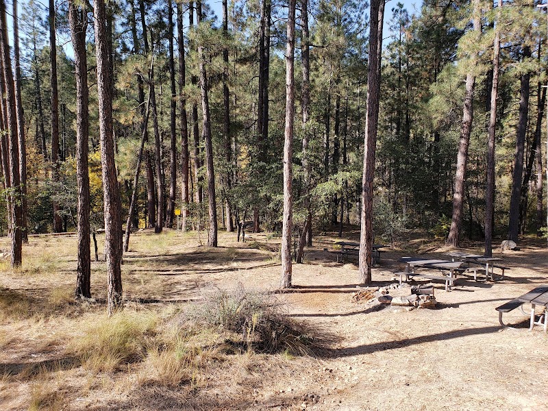 TURNEY GULCH GROUP（亚利桑那州）