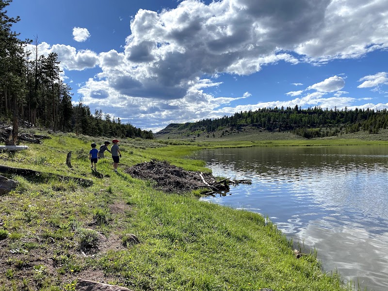 BROWNE LAKE GROUP SITES（犹他州）