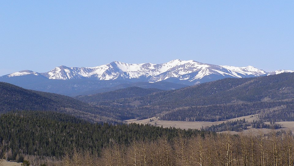 Carson (国家森林)
