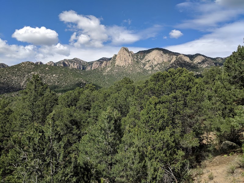 Cibola (国家森林)