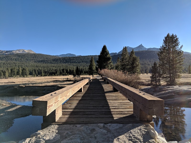 Tuolumne Horse Campsites（加利福尼亚州）