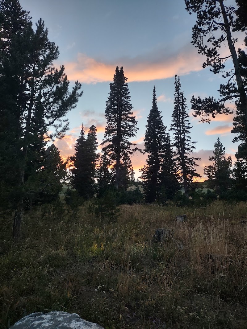 THOMPSON FLAT（爱达荷州）