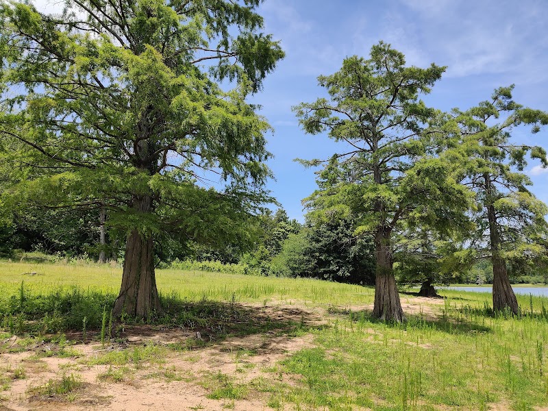 Chickasaw Hill Day Use Area（密西西比州）