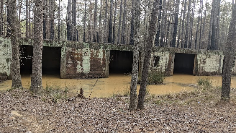 Loran Camp