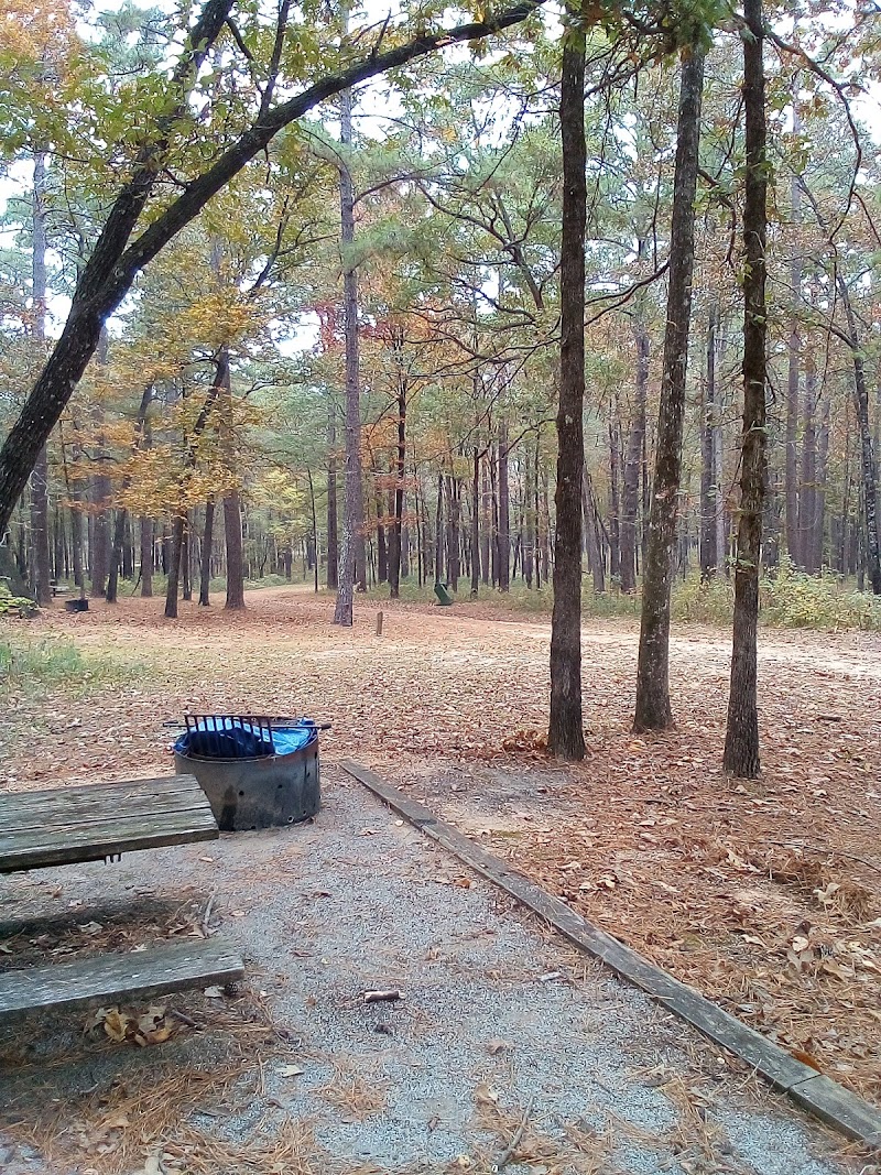Shockaloe Trail Bc 1