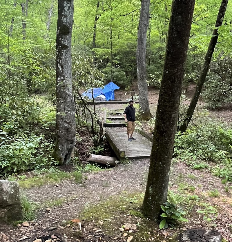 WASH CREEK HORSE CAMP（北卡罗来纳州）