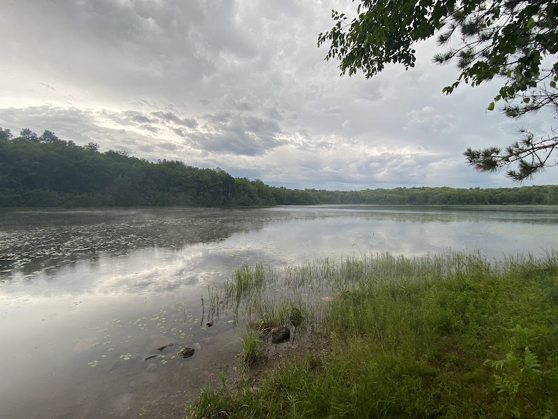 Beaver Lake (Chequamegon-Nicolet NF, WI)（威斯康星州）