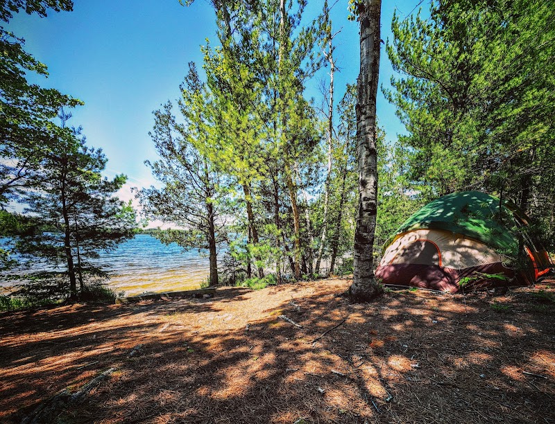 Ewing Point Campsite（密歇根州）