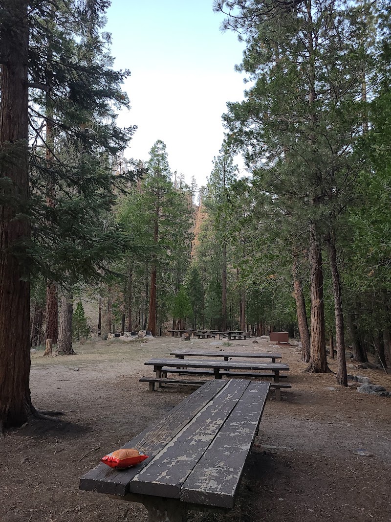 Canyon Forest Camp（俄勒冈州）