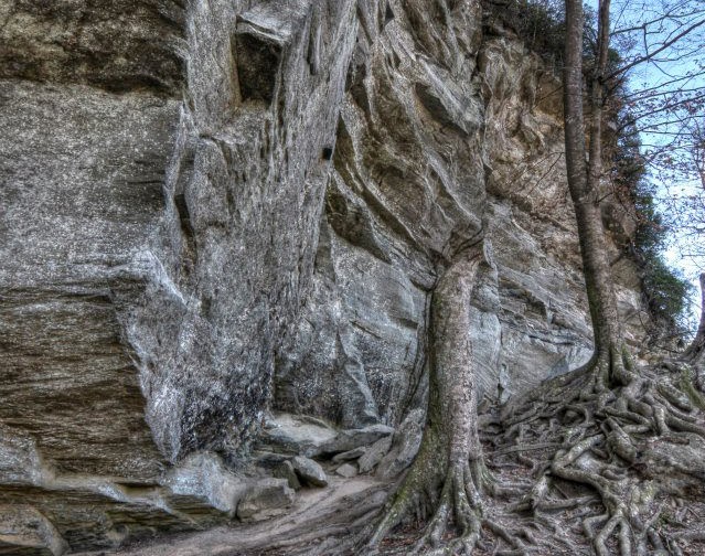 Rock Castle Gorge Backcountry Camping（北卡罗来纳州）