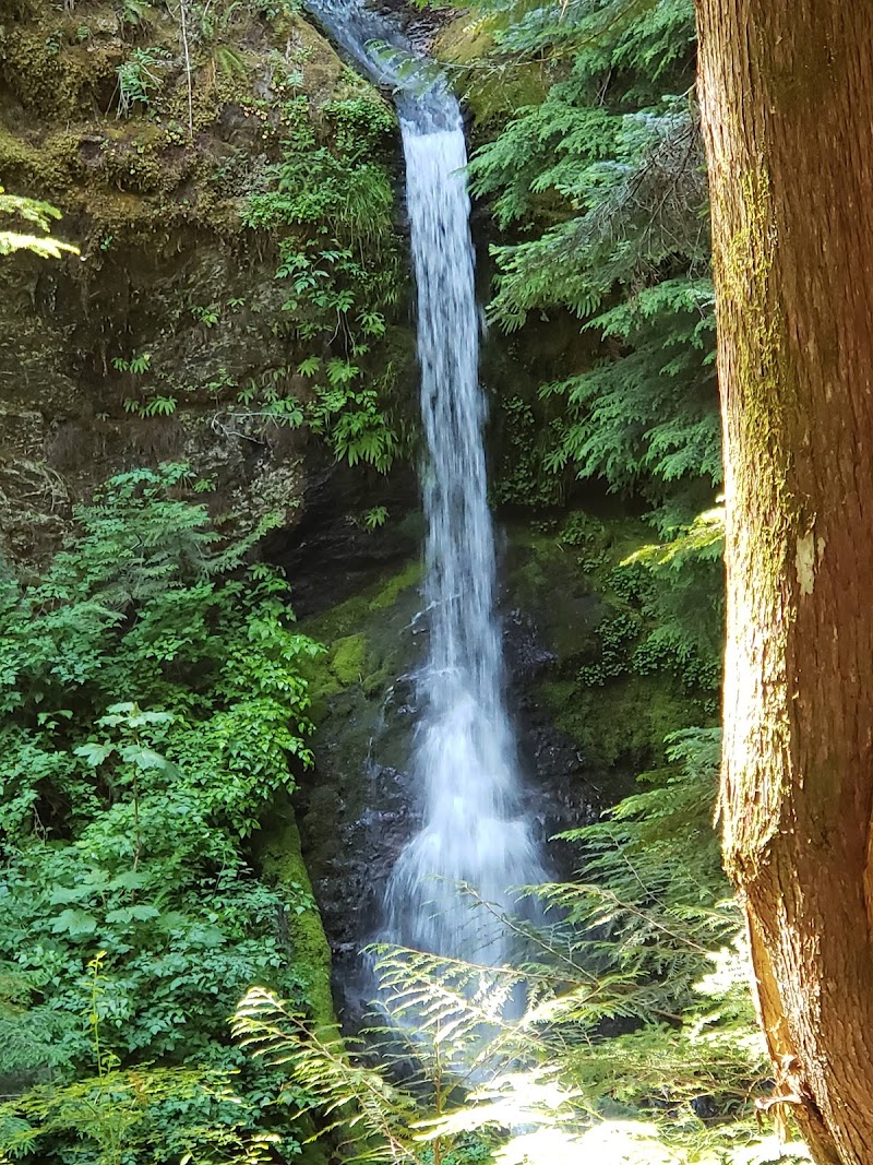 LEWIS RIVER HC (WA) GIFFORD PINCHOT NF（华盛顿州）
