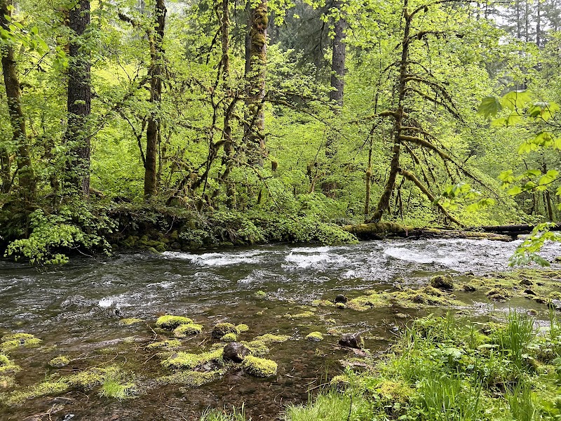 ROARING RIVER (GROUP)（俄勒冈州）