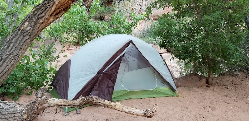 Hunter Canyon Group Site（犹他州）