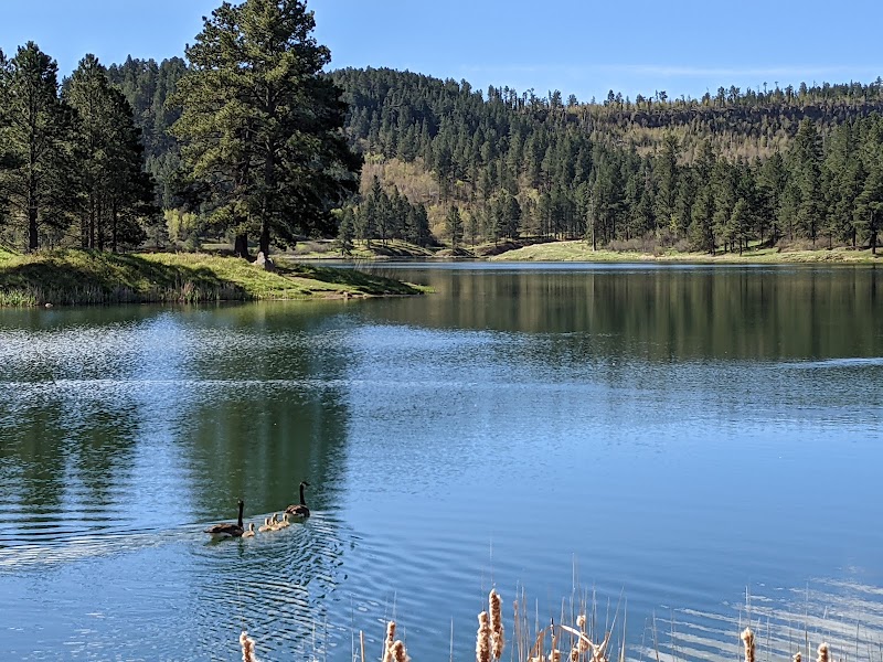 COOK LAKE REC AREA